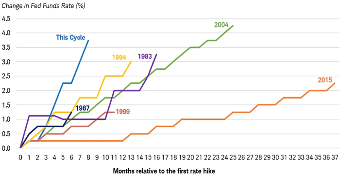 Chart shows the trajectory of federal funds rate hikes during hiking cycles.