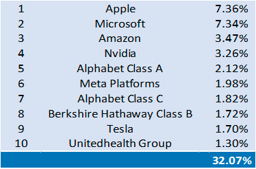 Figure 5 - Top 10 Company Weightings in the S&P 500